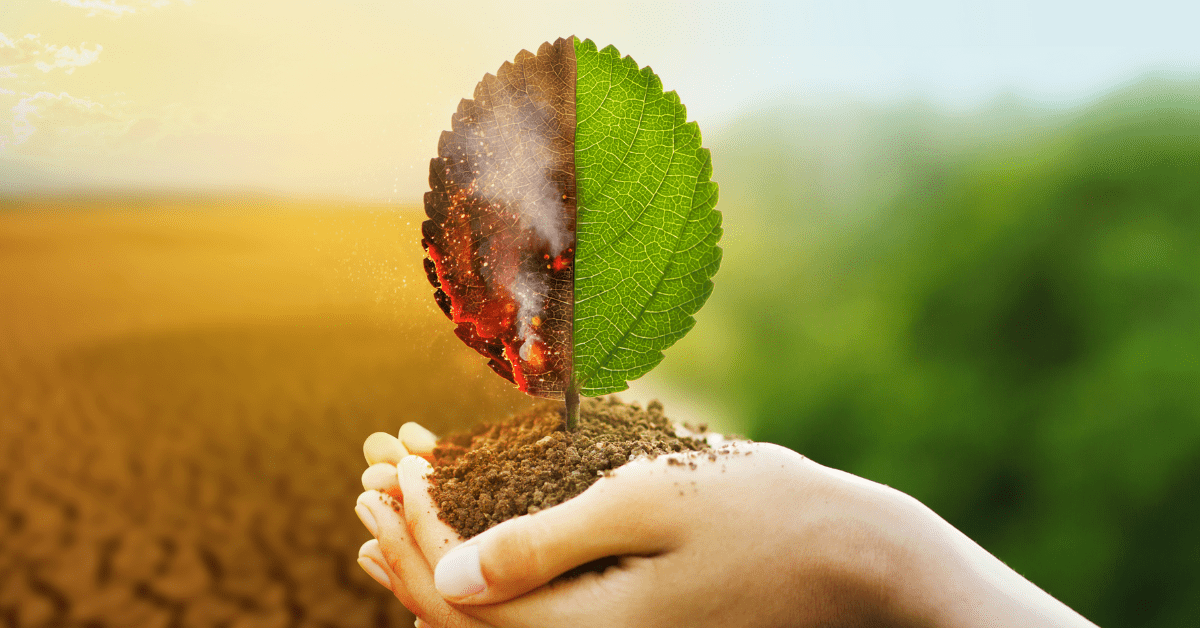 The Environmental Impact of Evaporative Air Cooling